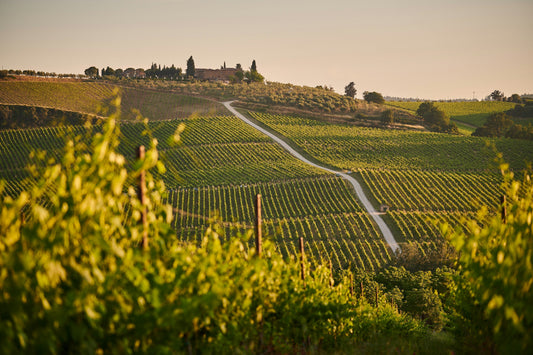 rolling tuscan hills